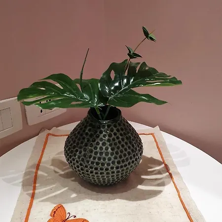 ホテル Comfort 4*